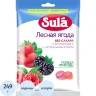 Леденцы Sula Лесная Ягода пакет 249г, 2377853