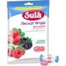 Леденцы Sula Лесная Ягода пакет 249г, 2377853