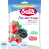 Леденцы Sula Лесная Ягода пакет 249г, 2377853