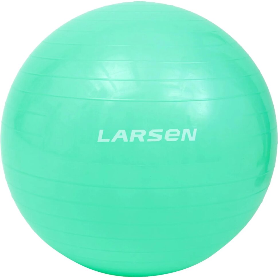 Мяч гимнастический с насосом Larsen HG-1 бирюзовый 55 см, 371178, 2542862