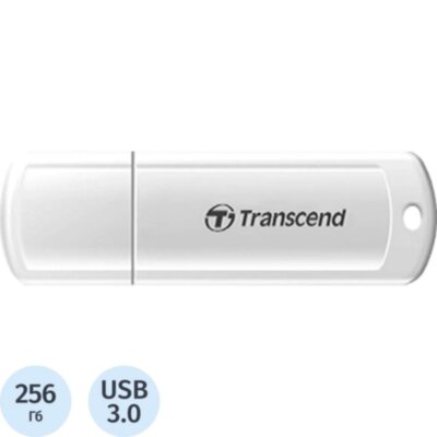 Флеш-память Transcend Jetflash (TS256GJF730)256GB/USB3.1/белый, 2062404