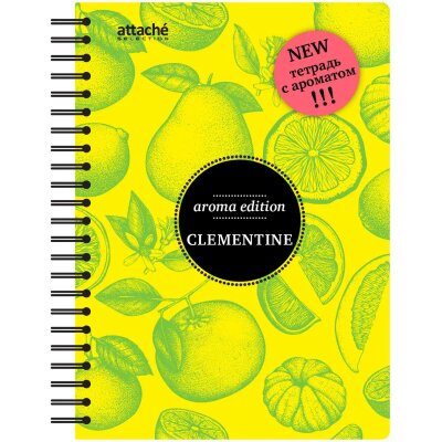 Бизнес-тетрадь  ароматизир.100л,кл,А5, КЛЕМЕНТИН,спир,тонир.блок 84906, 737348