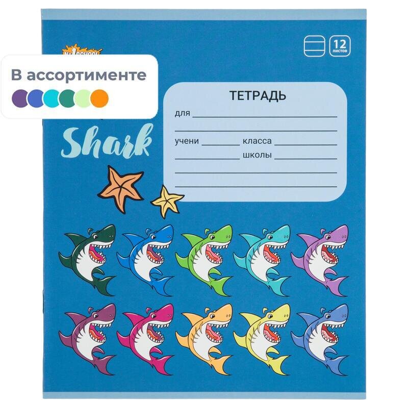Тетрадь школьная А5 12л №1School Shark линия,скреп, ВД-лак, в асс, 1819872