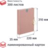 Папка архивная ламинированная Fleur 30мм на 2-х завязках, 1411656