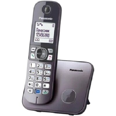 Радиотелефон Dect Panasonic KX-TG6811RUM серый металлик АОН, 1446090