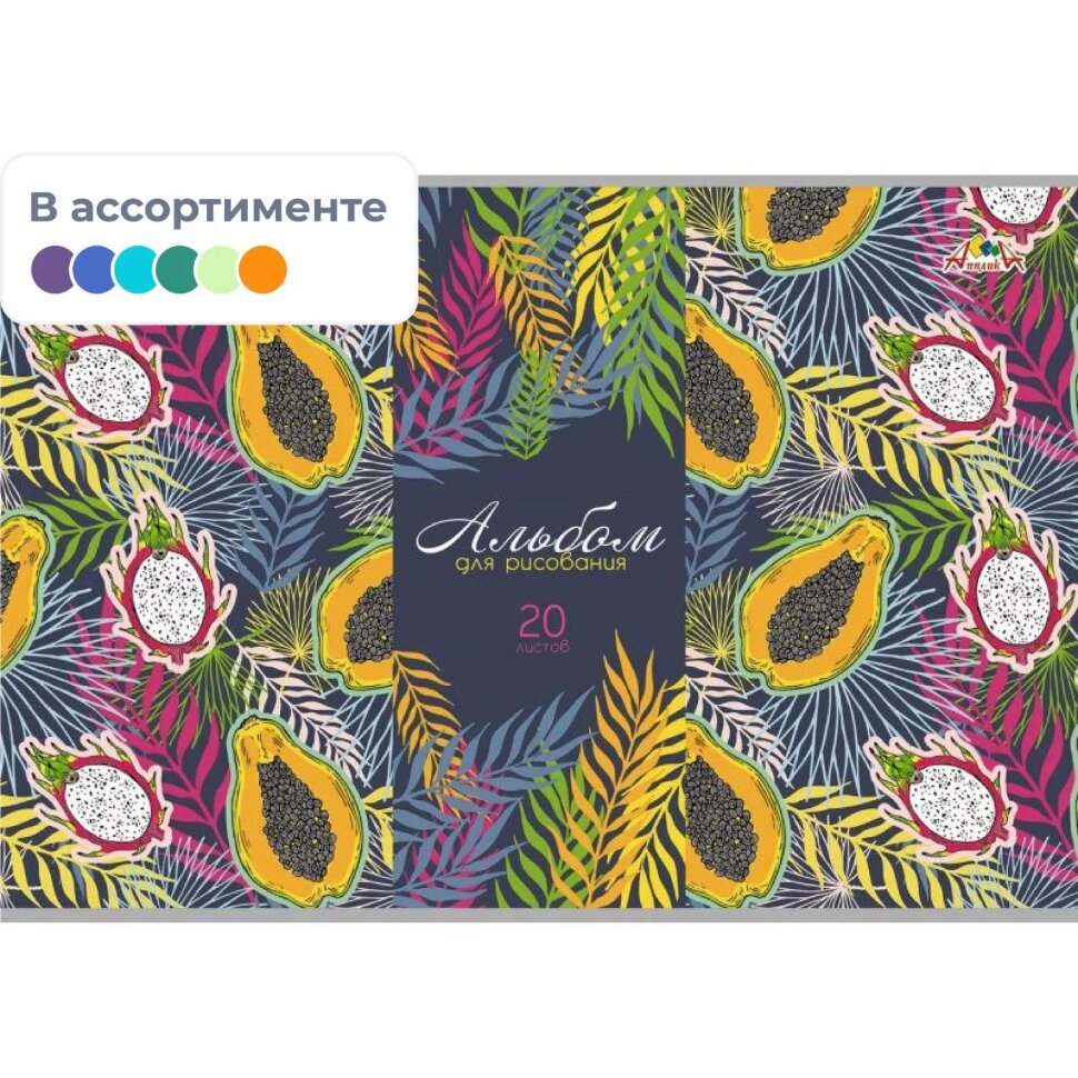 Альбом для рисования 20л А4 обл.картон,в асс.С0218, 1636171