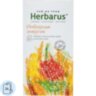 Чайный напиток напиток Herbarus, Имбирная Энергия,  24пак, 1289705